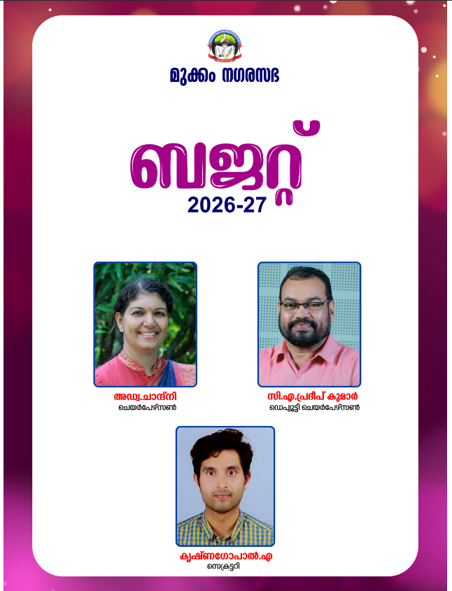Budget Cover2